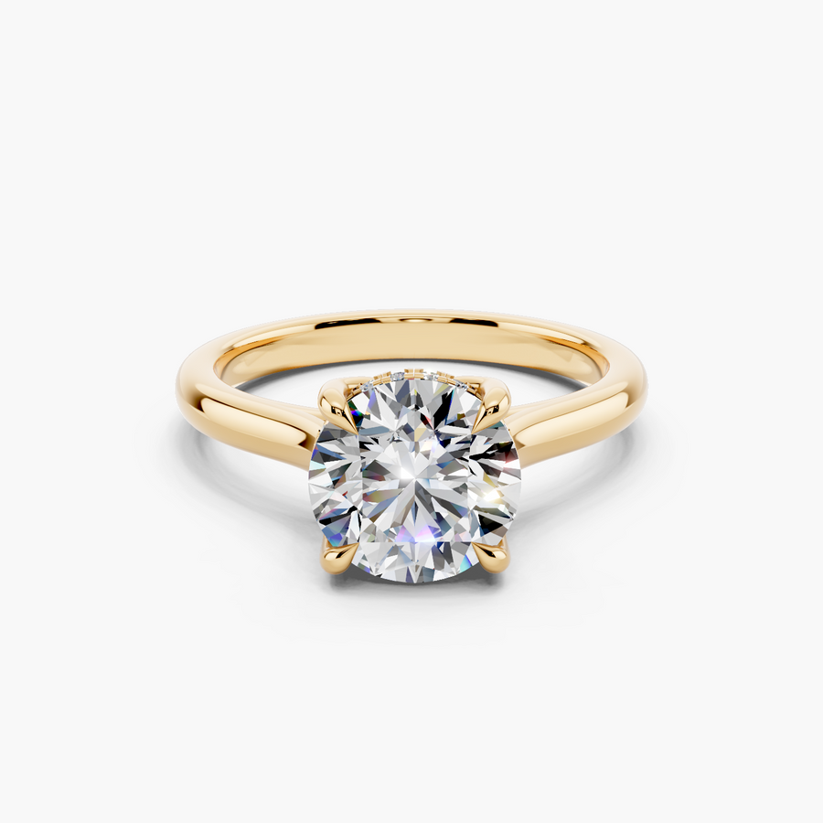 Hidden Halo Cathedral Engagement Ring