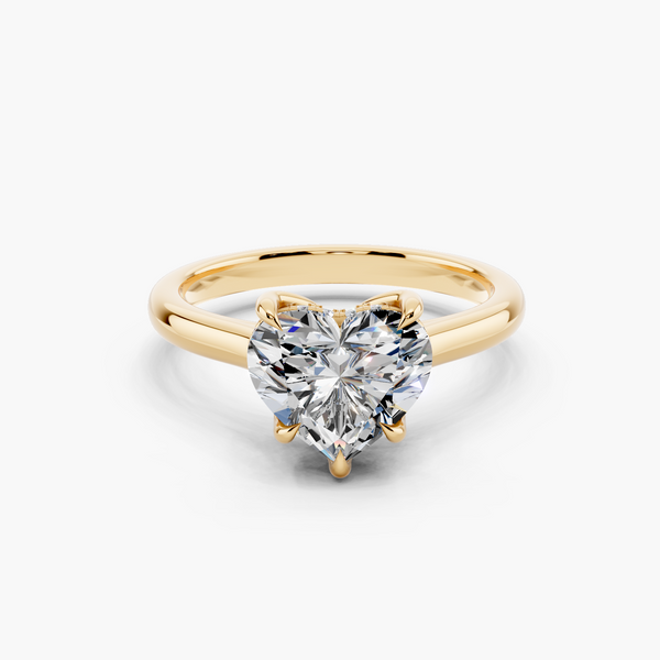 Hidden Halo Cathedral Engagement Ring
