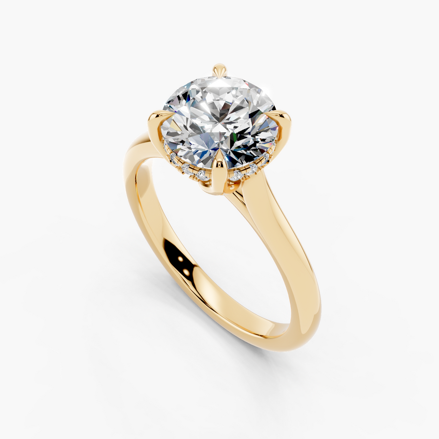 Hidden Halo Cathedral Engagement Ring — alternate view — Diyona