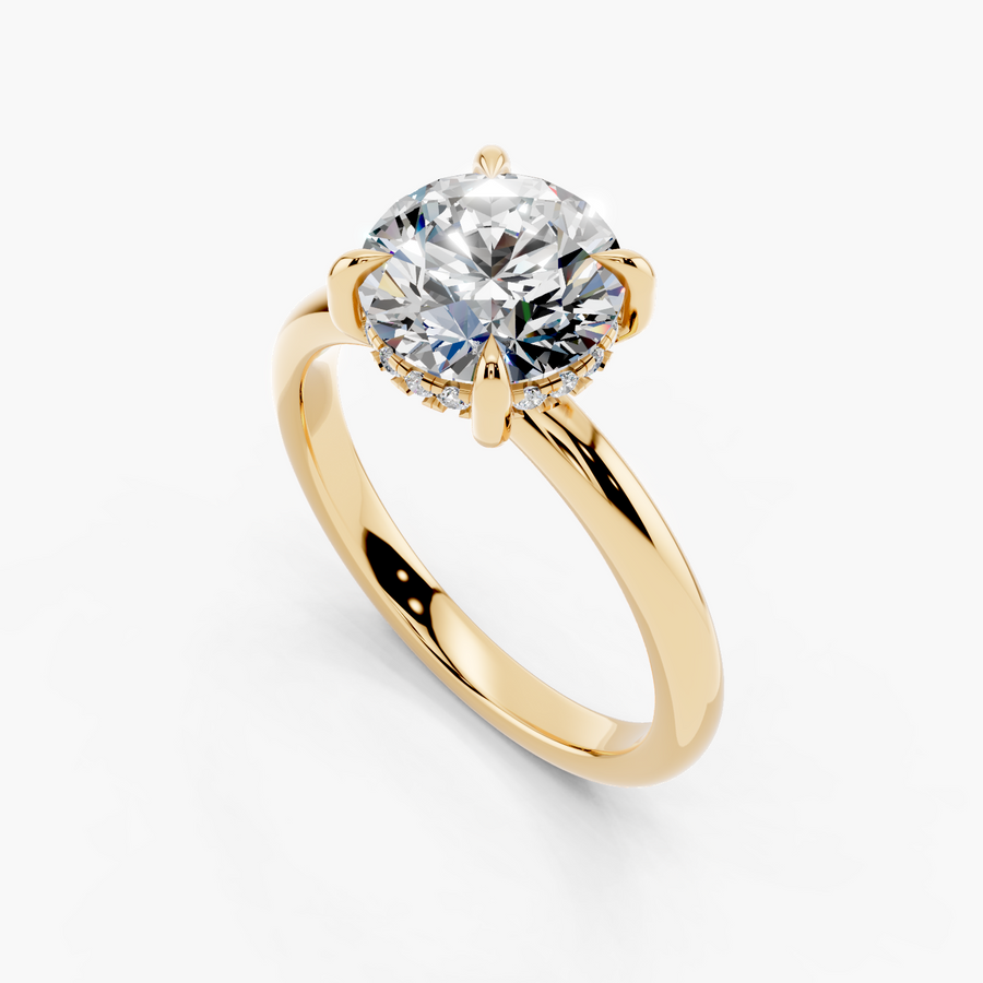 Hidden Halo Engagement Ring — alternate view — Diyona