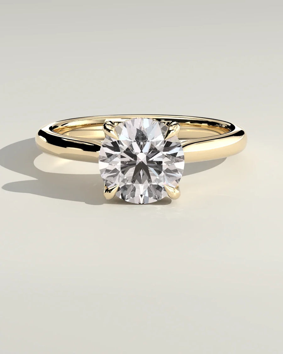 Hidden Halo Cathedral Engagement Ring